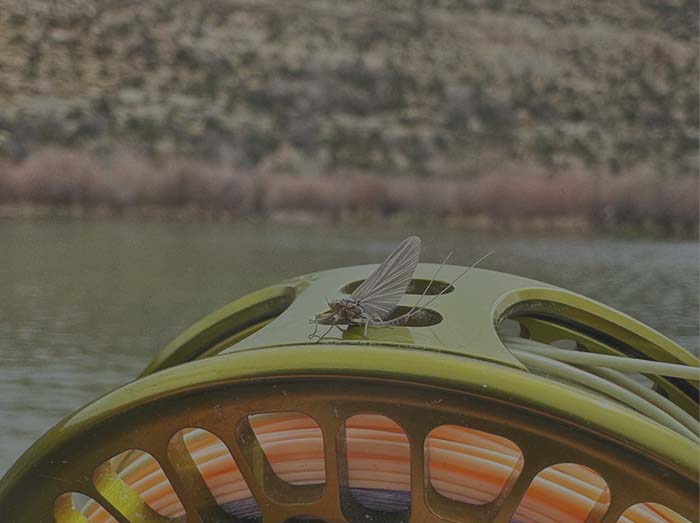 New Mexico Fly Fishing Fly on Reel