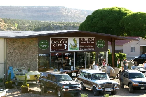 fisheads-in-the-2000s-500