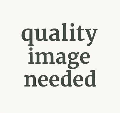 image-to-left-right-placeholder