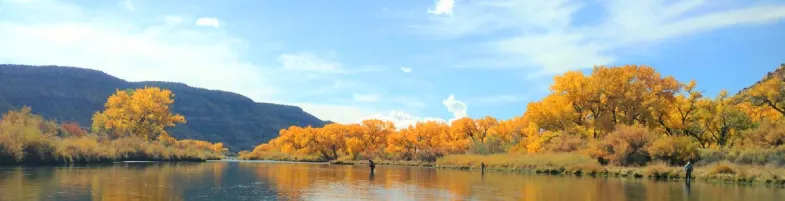 san-juan-river-fly-fishing-785-200