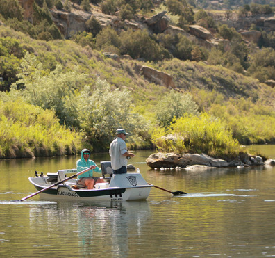 WhatsIncluded Cropped Resized